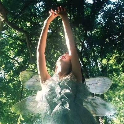 我的行李箱通末世