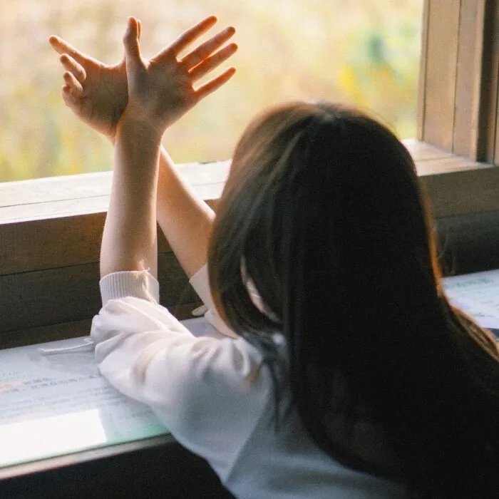 重生相逢：给你我的独家宠溺 动态漫画